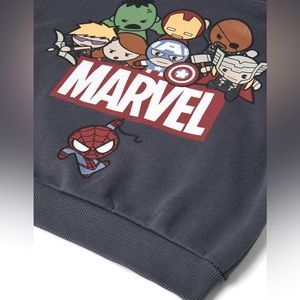 Zara MARVEL Charcoal Grey Toddler 3-4T Hoodie Sweatshirt Spider-Man Aven…